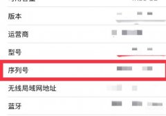 苹果手机官网查询正品怎么查（iPhone手机辨别真假技巧）
