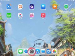 ipad电池容量怎么查询（iPad电池寿命查询步骤）