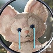 手机漏液怎么自己处理（屏幕漏液的修复技能分享）