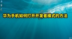 华为手机的开发者选项在哪里能找到（打开开发者模式操作步骤）