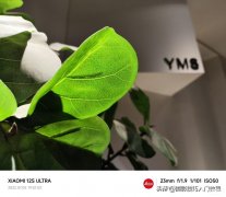 手机照片怎么添加水印（给照片添加文字水印操作技巧）