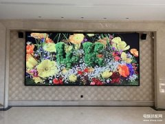 屏幕亮线自动修复好了是什么原因（液晶屏故障现象和对应维修思路总结）