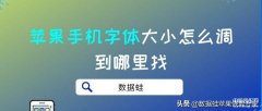 苹果手机字体大小怎么设置（iPhone手机字体调整方法盘点）