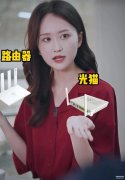猫红灯闪是怎么回事(光纤猫闪红色的灯故障解决方法)