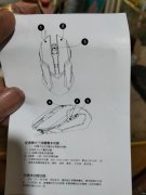 有线鼠标怎么使用（有线鼠标的使用说明书）