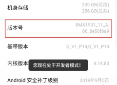 华为手机怎么关闭开发者模式（华为手机开发者设置办法）