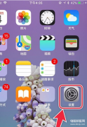 苹果xr设备管理在哪里找（苹果手机授信设置方法）