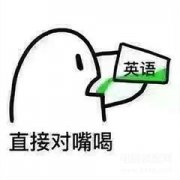 手机翻译在哪里找的（详述手机快速翻译的方法）