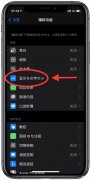 苹果x屏幕尺寸大小如何调整(在iPhone上调整显示与文字大小技巧)