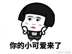电脑安装双系统的利弊有什么（电脑装双系统优缺点解析）