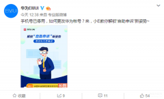 华为手机申诉激活网址（华为账号解锁自助申诉的新姿势）