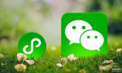 如何取消微信免密支付功能（微信免密支付关闭流程）