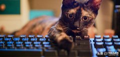 win10怎么禁用f1到f12快捷键（联想电脑功能键使用指南）