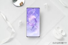 荣耀vivo哪个好（荣耀80和vivos 16入手建议）