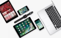果粉查询苹果序列号可信吗（iPhone苹果序列号含义与使用全攻略）