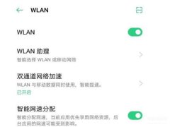 wlan已禁用无法启动怎么办（OPPO手机wifi功能打不开解决方法）
