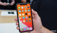 苹果11promax尺寸和苹果xr（iPhone 11与iPhone XR对比）