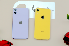 苹果11信号好不好(iPhone 11系列信号实测)