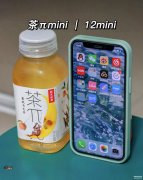 苹果12mini怎么样设置最佳（iPhone 12mini设置方法）