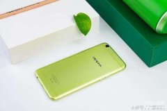 oppo手机怎么查看自己的手机号码（oppo 本机号码一键查询）