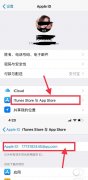 苹果手机如何删除购买记录（iPhone手机取消订阅内容的技巧）