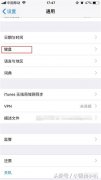 苹果手写键盘怎么打开（iPhone屏幕手写的启用方式）