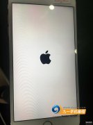 苹果手机掉水里了不能开机怎么修（iPhone手机进水开不开机维修方法）