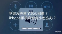 苹果手机接通后听不到对方声音怎么办(iPhone手机没声音了处理方法)