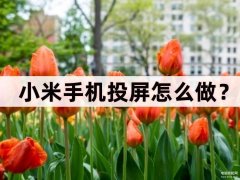 小米手机怎么投屏（小米手机投屏方法）