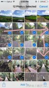 苹果手机怎么一键删除所有照片（iphone删除照片小技巧）