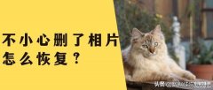 照片不小心删了怎么恢复回来（不小心删了相片找回教程）