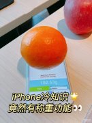 touchscale电子秤怎么开启（iPhone手机电子秤功能分析）