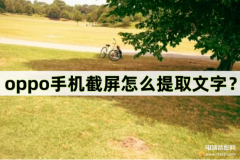 oppo手机图片提取文字在哪儿（OPPO手机识别图片文字的窍门）