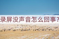 屏幕录制没有声音怎么弄（两个方法教你录制声音）