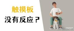 电脑有平板模式但不能触屏怎么办（笔记本触摸板没反应处理方法）