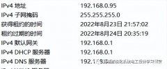 如何设置dns（DNS设置步骤）