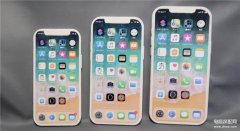 iphone 12长度是多少（苹果12尺寸规格）