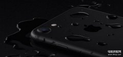 iphone听筒进水了怎么办（手机进水了急救处理方法）
