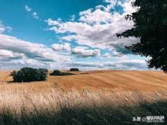 苹果手机照相怎么设置九宫格（iPhone拍照的几个基本技巧）