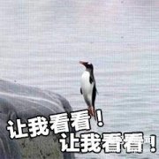 vivo手机x60怎么截图（vivo手机截屏方式汇总）
