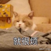 电脑键盘不起作用了怎么办（键盘容易失灵的处理方法）