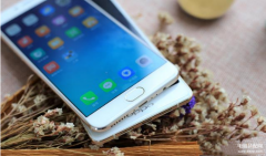 oppor9打开开发者选项（OPPO手机开启开发模式的实用方法）