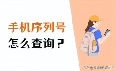 如何查询苹果iPhone的序列号（iPhone手机身份鉴定的方法）
