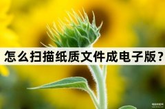 打印机可以扫描成电子版吗（扫描纸质文件成电子版方法）