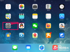 ipad输入法设置在哪里（ipad安装第三方输入法）