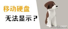 移动硬盘不显示在我的电脑怎么办（恢复硬盘的方法汇总）