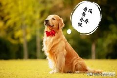 哪个游戏可以赚钱能提现的(赚零花钱的小游戏)