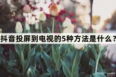 苹果手机怎么把抖音投屏到电视上（抖音投屏到电视的5种方法）