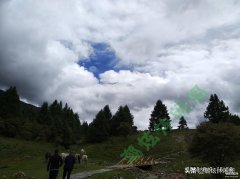 怎么查照片的拍摄地点和时间（通过照片定位查看拍摄地点的小技巧）