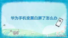 手机屏幕变成黑白的了是怎么回事（华为手机屏幕还原的轻松办法）